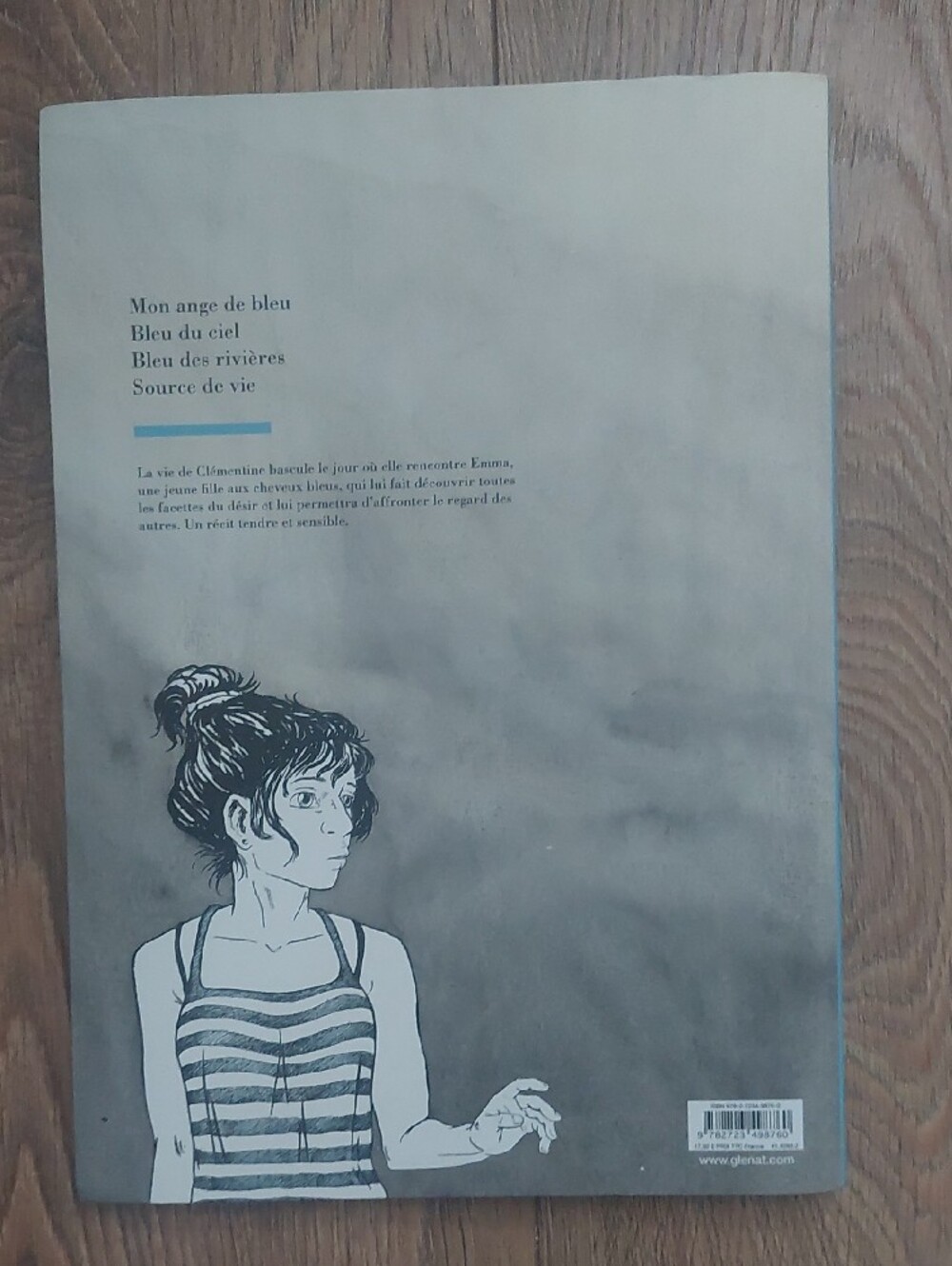 Le bleu est une couleur chaude Graphic Novel - Blue Cover Bd Livre Lbgt Queer - Picture 4 of 4